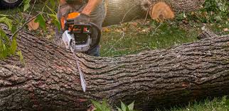 Best Soil Testing and Treatment  in Columbus, NE